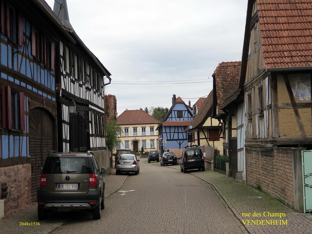 Bed and Breakfast La Cour Des Amis Vendenheim Esterno foto